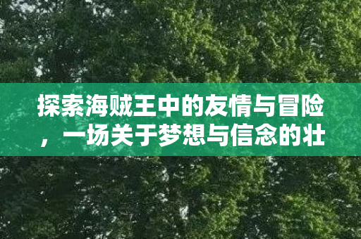 一场关于梦想与信念的壮丽旅程图片