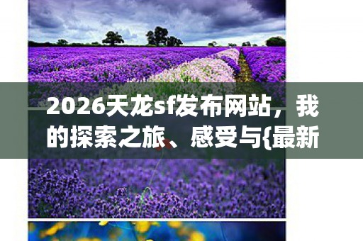 2026天龙sf发布网站图片