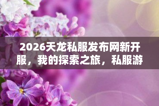 2026天龙私服发布网新开服图片