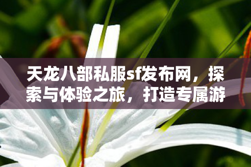 天龙八部私服sf发布网图片