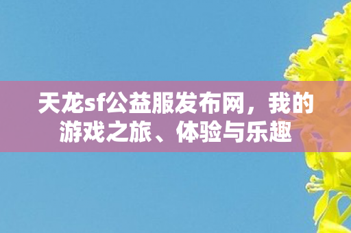 天龙sf公益服发布网图片