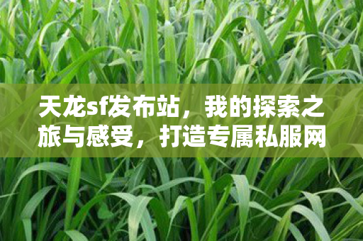 打造专属私服网站发布平台图片