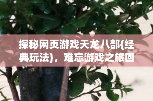 探秘网页游戏天龙八部图片