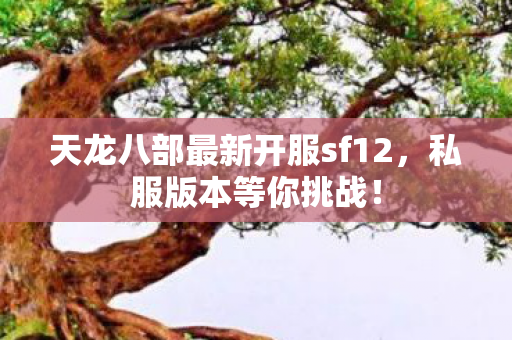 天龙八部最新开服sf12图片
