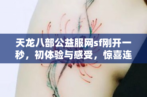 天龙八部公益服网sf刚开一秒图片
