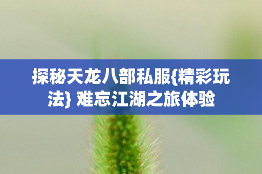 探秘天龙八部私服图片