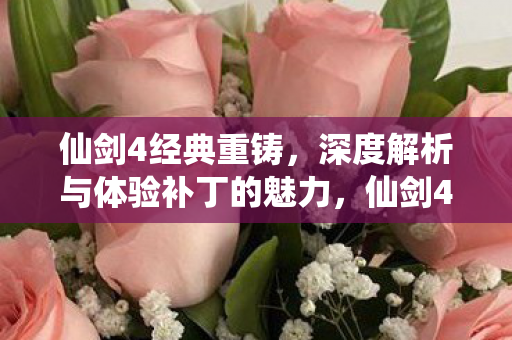 深度解析与体验补丁的魅力图片