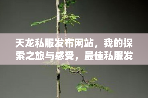 最佳私服发布平台推荐图片