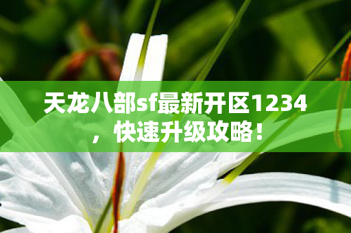 天龙八部sf最新开区1234图片
