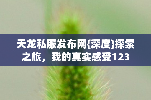 我的真实感受123图片