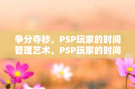 PSP玩家的时间管理艺术图片