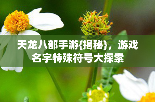 游戏名字特殊符号大探索图片