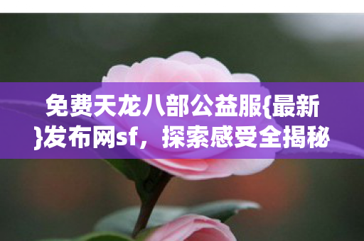 免费天龙八部公益服图片
