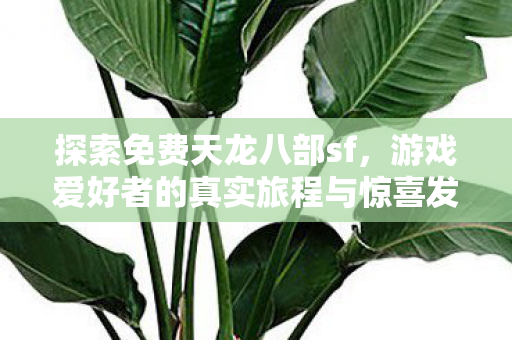 游戏爱好者的真实旅程与惊喜发现图片