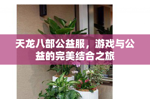游戏与公益的完美结合之旅图片