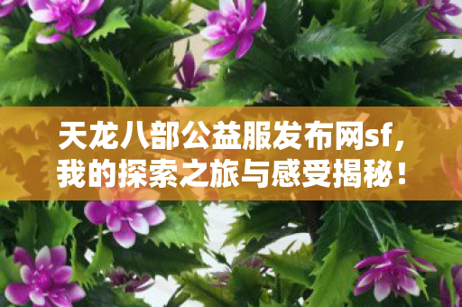 天龙八部公益服发布网sf图片