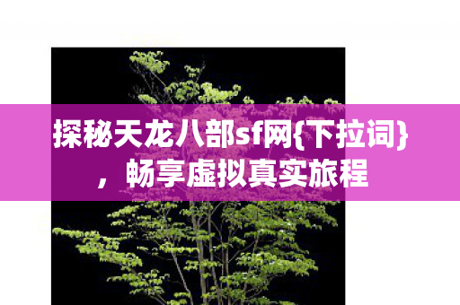 探秘天龙八部sf网图片