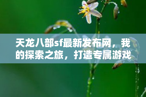 天龙八部sf最新发布网图片