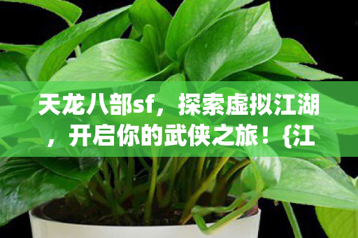 开启你的武侠之旅图片