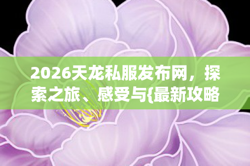 2026天龙私服发布网图片