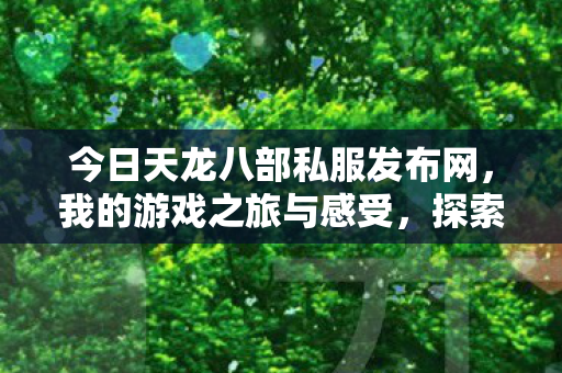 今日天龙八部私服发布网图片