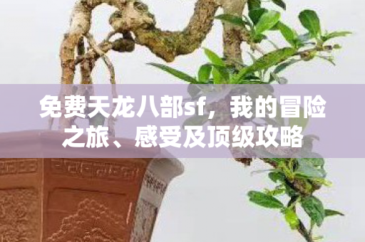 免费天龙八部sf图片