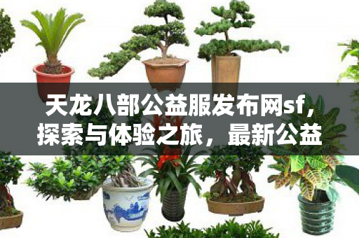 天龙八部公益服发布网sf图片