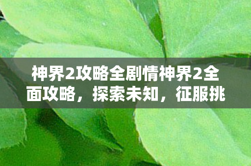 神界2攻略全剧情神界2全面攻略,探索未知,征服挑战,神界2全面攻略,探索未知,征服挑战 神界2攻略全剧情神界2全面攻略,探索未知,征服挑战,神界2全面攻略,探索未知,征服挑战