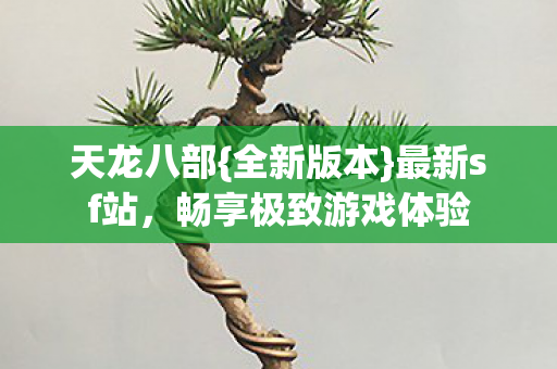 畅享极致游戏体验图片