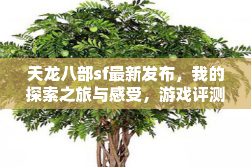 天龙八部sf最新发布图片