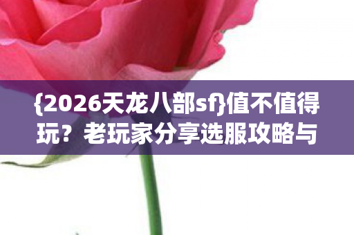 老玩家分享选服攻略与真实感受图片