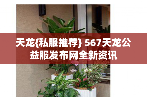 567天龙公益服发布网全新资讯图片
