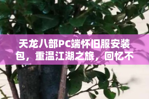 天龙八部PC端怀旧服安装包图片