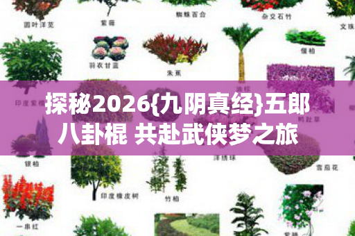 探秘2026{九阴真经}五郎八卦棍 共赴武侠梦之旅 探秘2026{九阴真经}五郎八卦棍 共赴武侠梦之旅