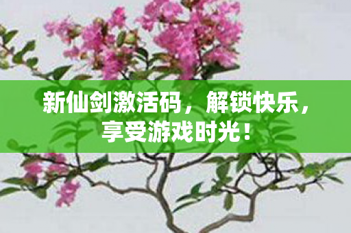 新仙剑激活码,解锁快乐,享受游戏时光! 新仙剑激活码,解锁快乐,享受游戏时光!