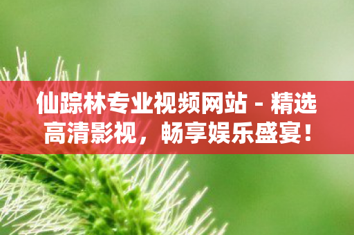 仙踪林专业视频网站 - 精选高清影视,畅享娱乐盛宴! 仙踪林专业视频网站 - 精选高清影视,畅享娱乐盛宴!