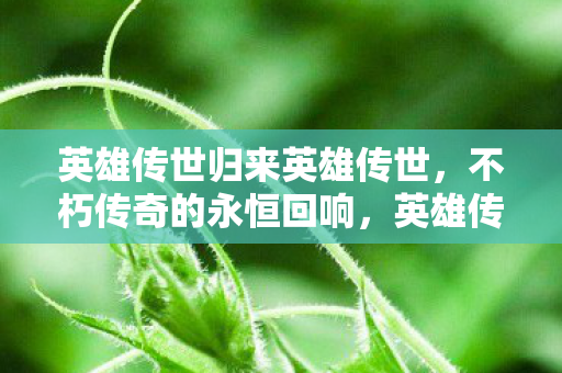 英雄传世归来英雄传世，不朽传奇的永恒回响，英雄传世归来，不朽传奇的永恒回响