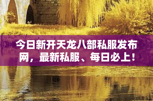 今日新开天龙八部私服发布网图片