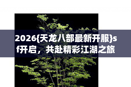 天龙八部最新开服图片