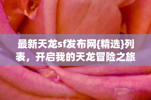 开启我的天龙冒险之旅图片