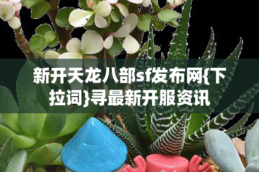 新开天龙八部sf发布网图片