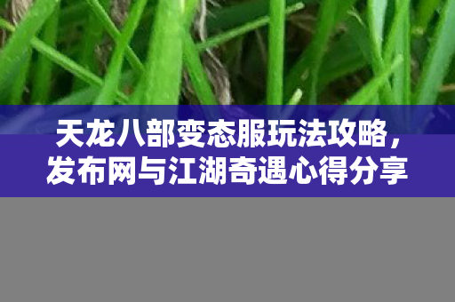 发布网与江湖奇遇心得分享图片