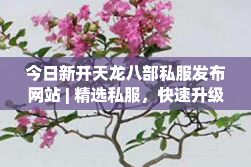 今日新开天龙八部私服发布网站图片