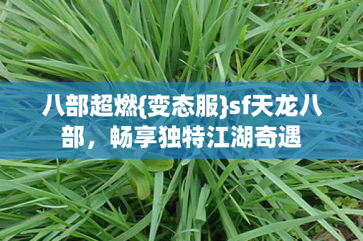 畅享独特江湖奇遇图片