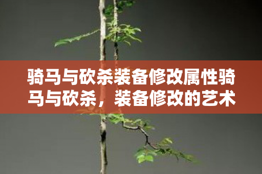 骑马与砍杀装备修改属性骑马与砍杀,装备修改的艺术,骑马与砍杀,装备属性修改的艺术揭秘 骑马与砍杀装备修改属性骑马与砍杀,装备修改的艺术,骑马与砍杀,装备属性修改的艺术揭秘