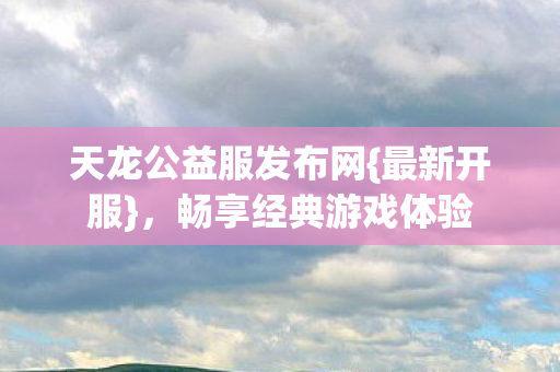 天龙公益服发布网图片
