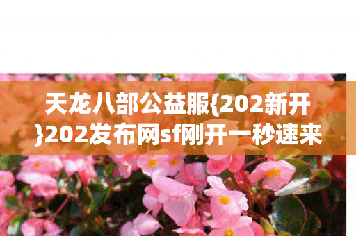 202发布网sf刚开一秒速来图片