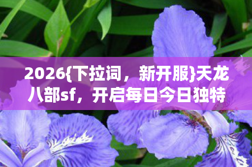 开启每日今日独特江湖之旅图片