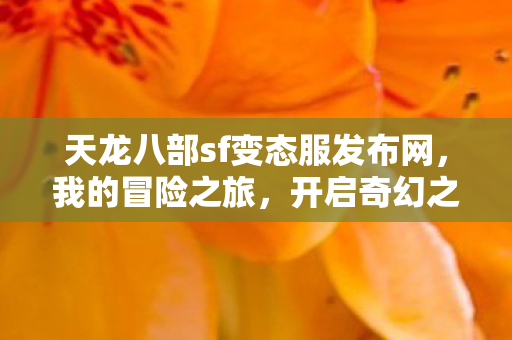 天龙八部sf变态服发布网图片