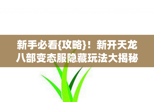 新开天龙八部变态服隐藏玩法大揭秘图片